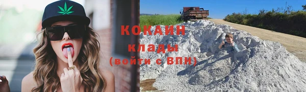 прущие крисы Бородино