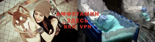 прущие крисы Бородино