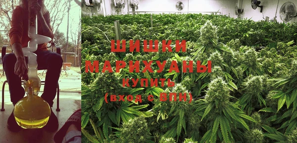 прущие крисы Бородино
