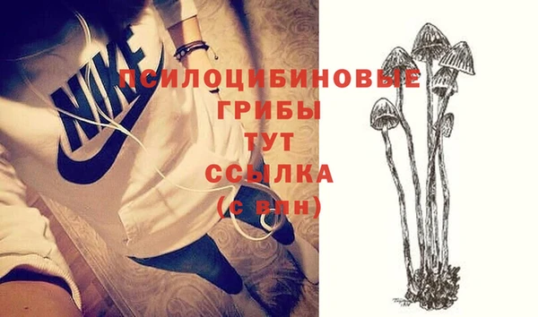 прущие крисы Бородино